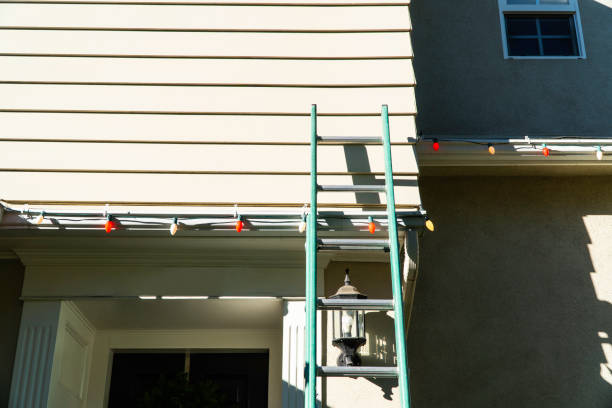 Best Carpet Removal and Disposal  in Kalispell, MT