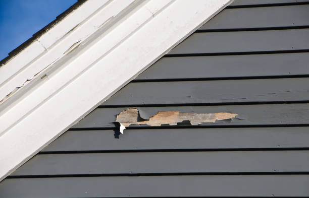 Best Attic Cleanout  in Kalispell, MT